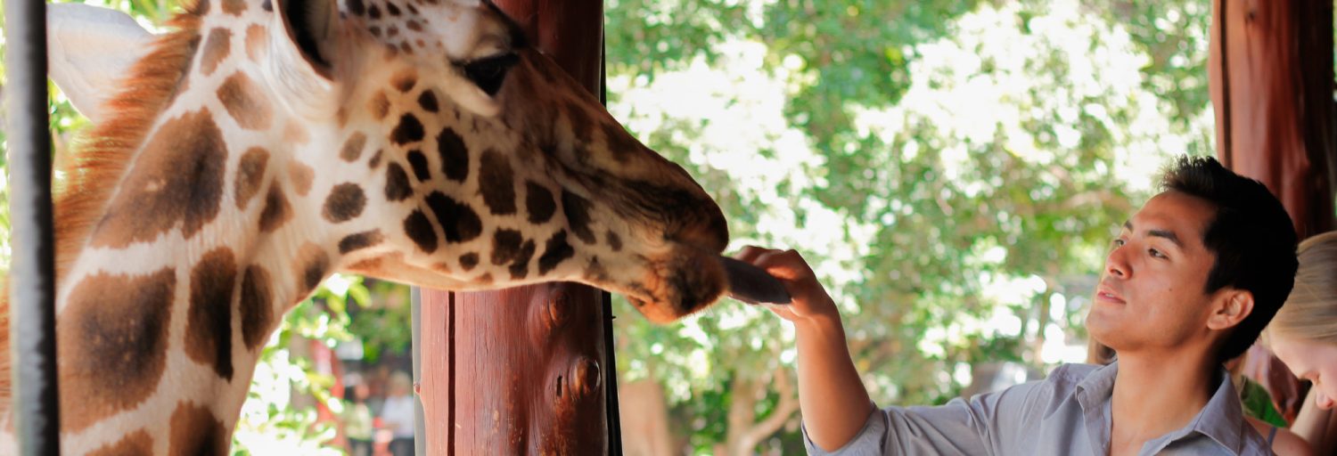 Prices & Dates (Kenya) KEI Abroad